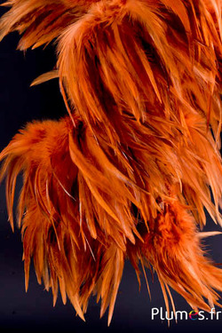 Frange coq - long. plumes 10-15 cm - braise sauvage
